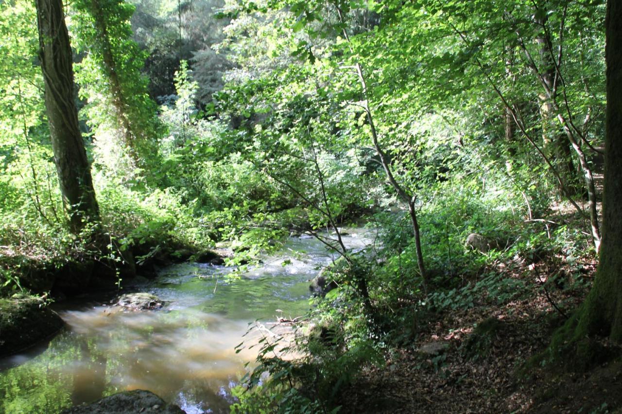 فندق Pontmainفي  Relais Le Bocage المظهر الخارجي الصورة